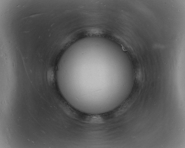 X0000112140715200908141154