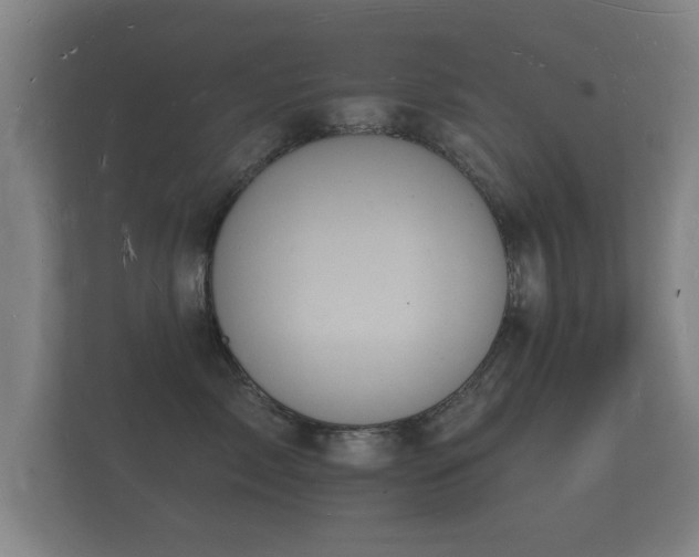 X0000112140717200908141154