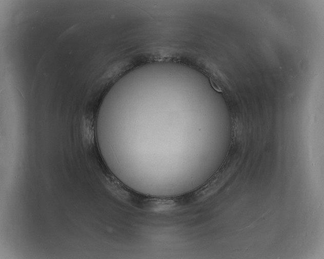 X0000112140719200908141154