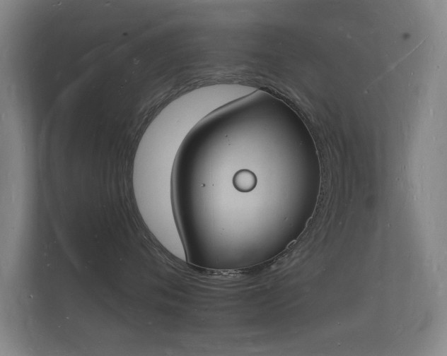 X0000112140720200908141154