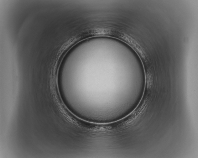 X0000112140721200908141153