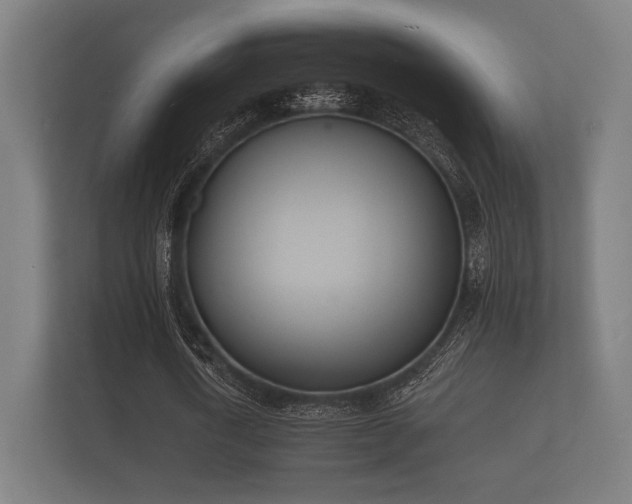 X0000112140722200908141153