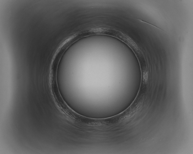 X0000112140724200908141153