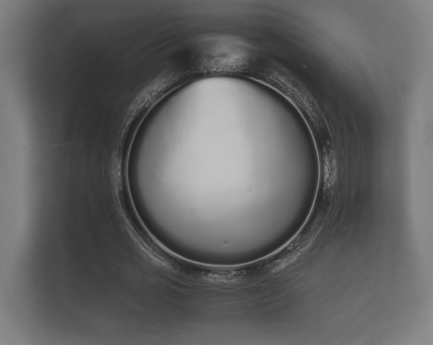 X0000112140725200908141153