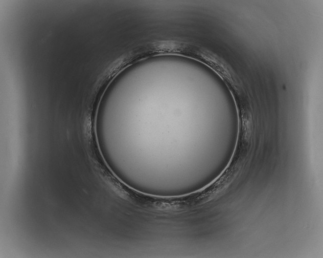 X0000112140729200908141153