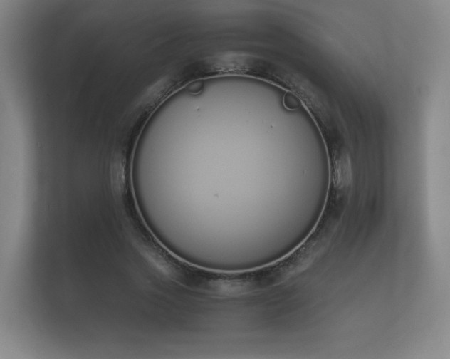 X0000112140733200908141153