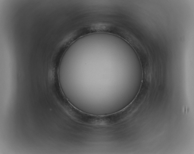 X0000112140735200908141153