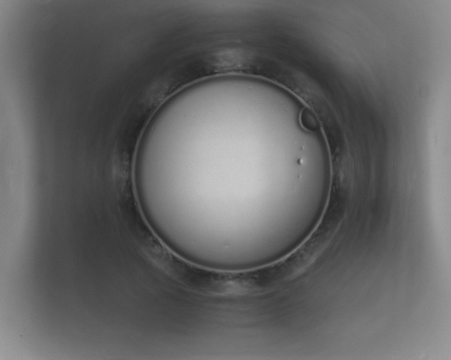 X0000112140737200908141154