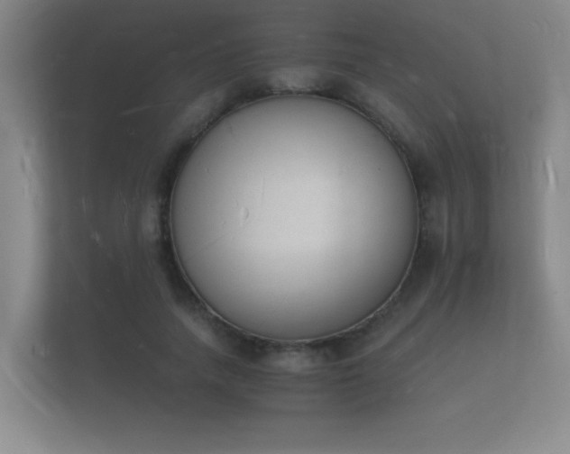 X0000112140738200908141154