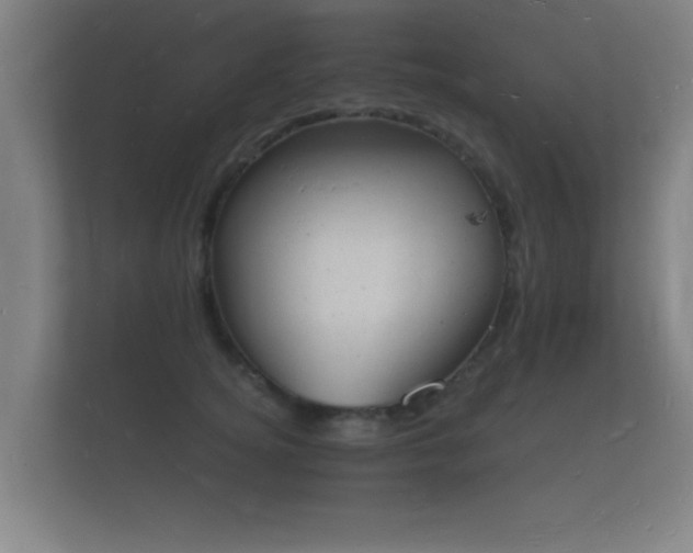 X0000112140756200908141154