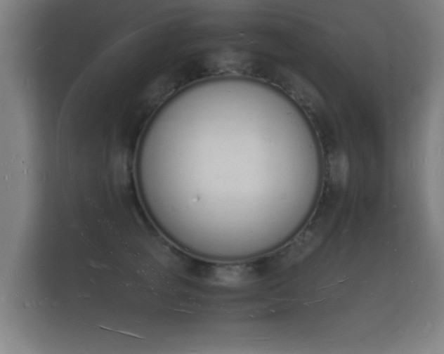 X0000112140757200908141154