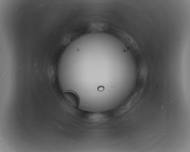 X0000112140759200908141154