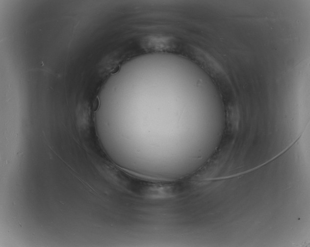 X0000112140760200908141154