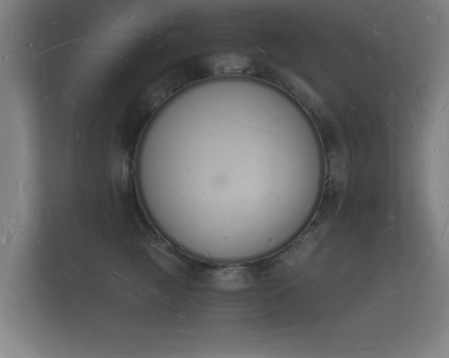 X0000112140761200908141154