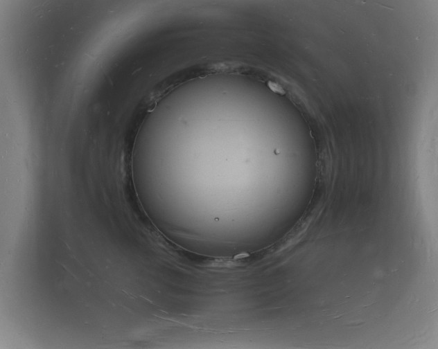 X0000112140762200908141154