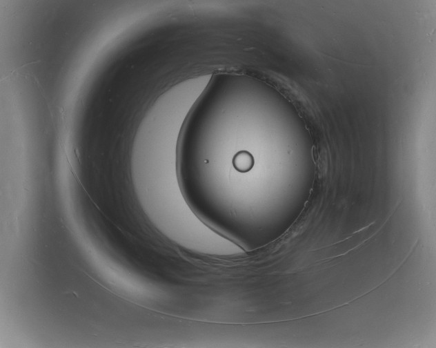 X0000112140764200908141154