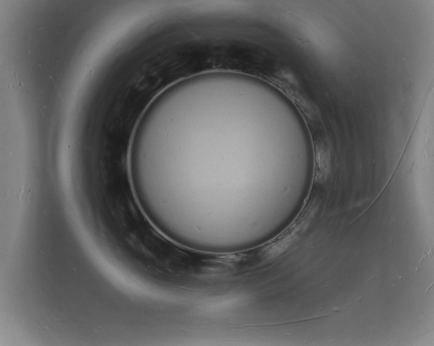 X0000112140765200908141154