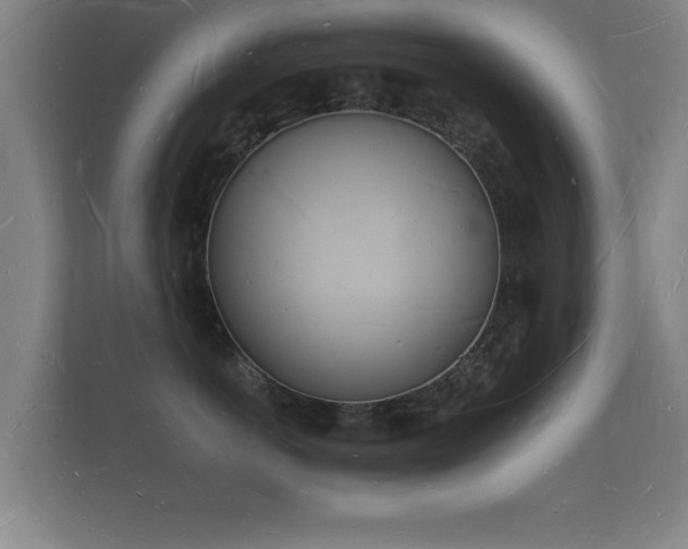 X0000112140766200908141154