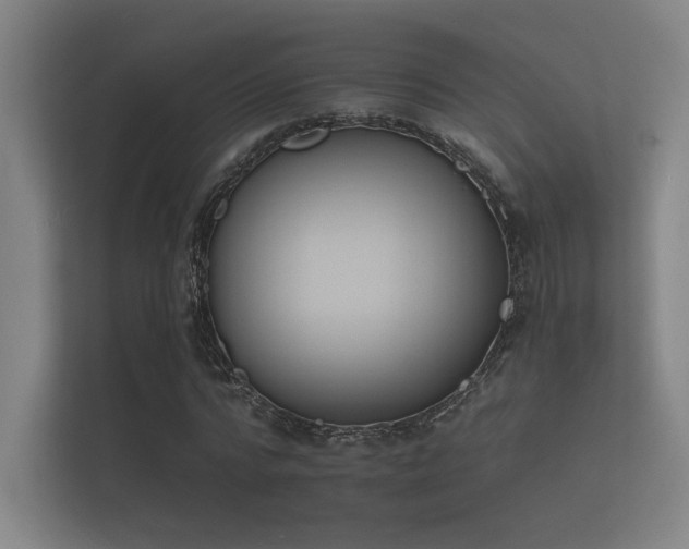 X0000112140776200908141153