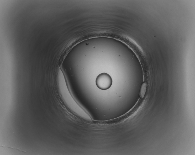 X0000112140777200908141153