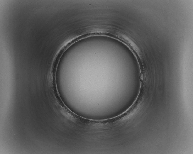 X0000112140779200908141153