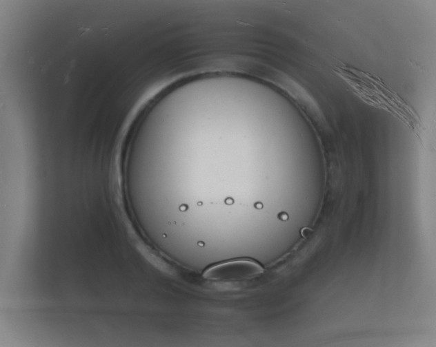 X0000112140792200908141153