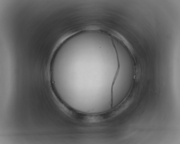 X0000112140795200908141153