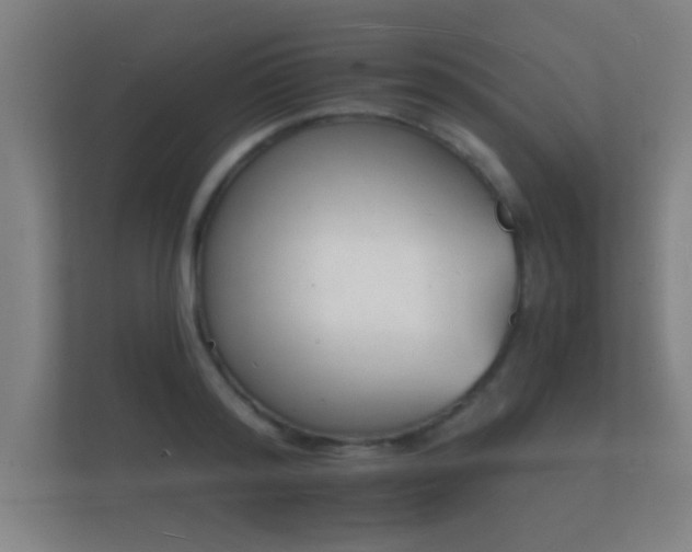 X0000112140796200908141153