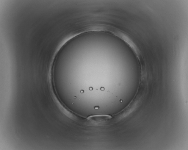 X0000112140803200908141153