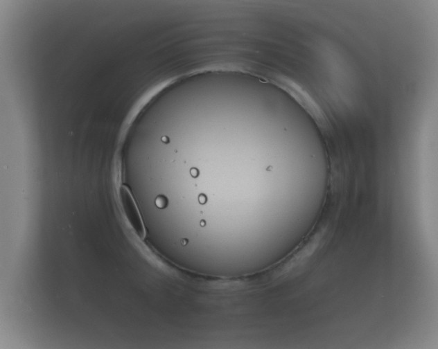 X0000112140804200908141153