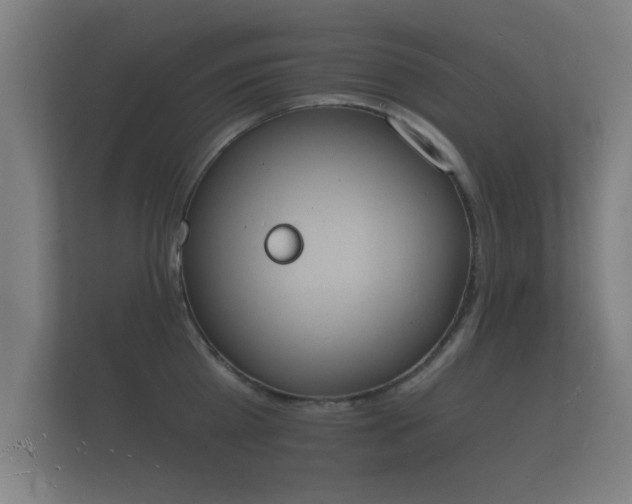 X0000112140809200908141153