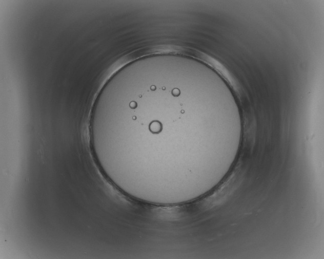 X0000112140810200908141153