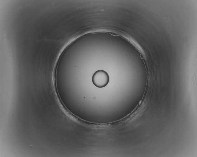 X0000112140813200908141153