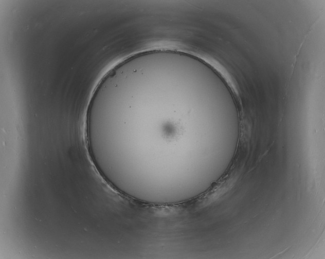 X0000112140815200908141153