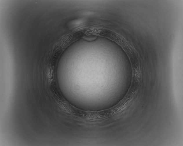 X0000112140818200908141152