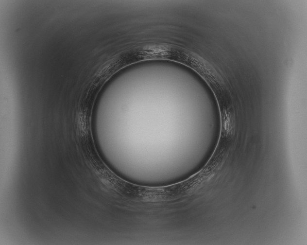 X0000112140819200908141152