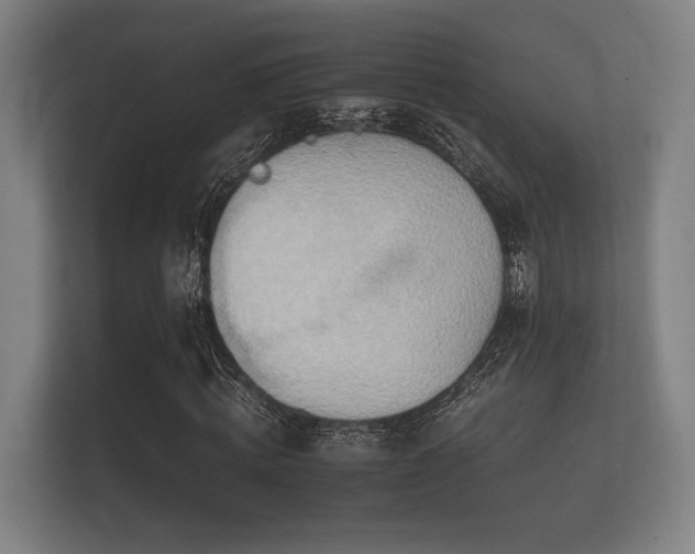 X0000112140820200908141152