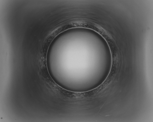 X0000112140822200908141152