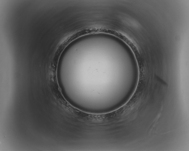 X0000112140823200908141152