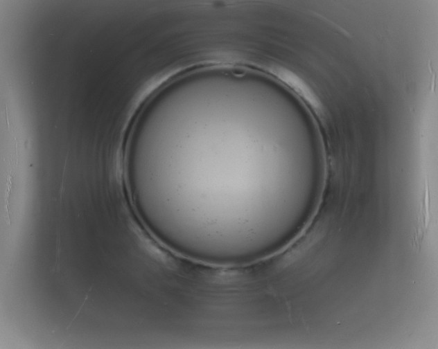 X0000112140839200908141152