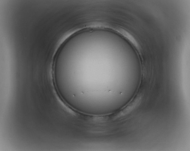 X0000112140847200908141152