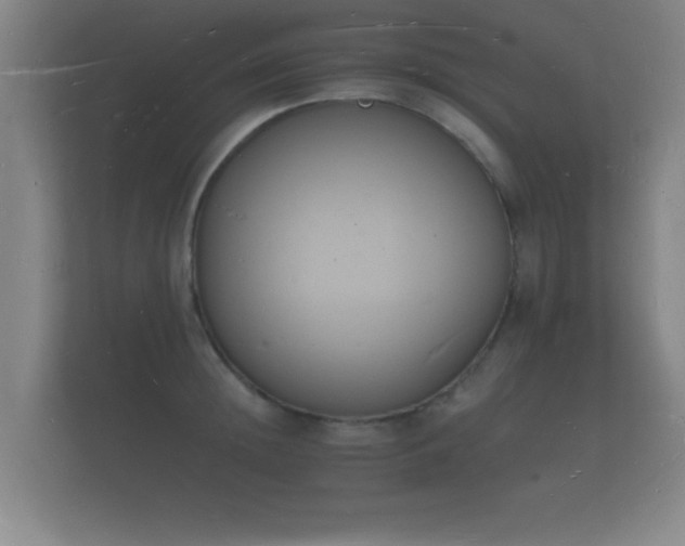 X0000112140852200908141153