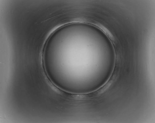 X0000112140854200908141153