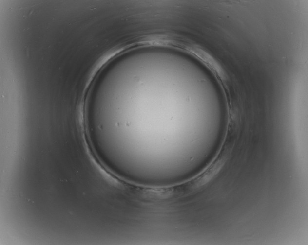 X0000112140855200908141153