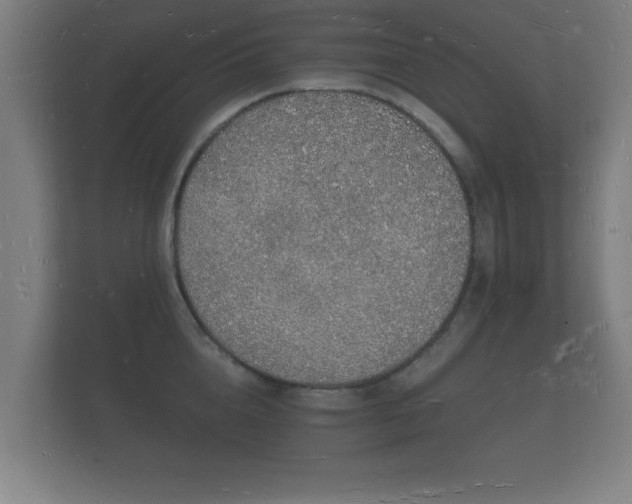 X0000112140856200908141153