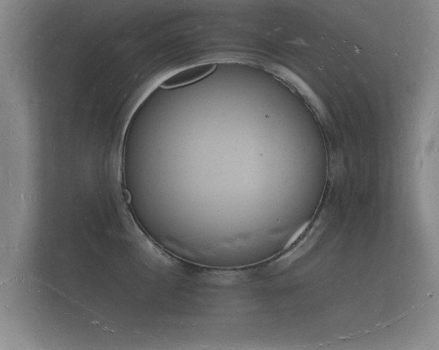 X0000112140860200908141153