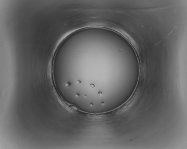 X0000112140862200908141153