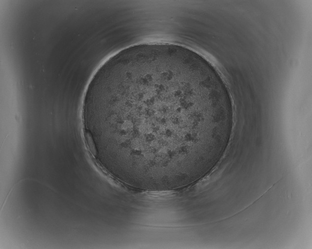 X0000112140864200908141153