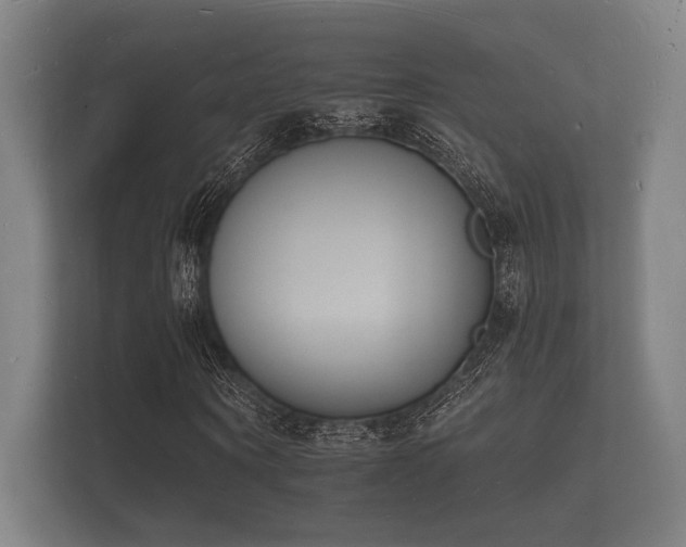 X0000112140866200908141152