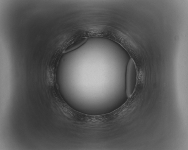 X0000112140868200908141152